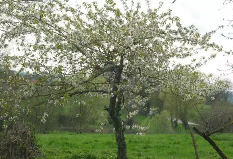 B&b Chambre Chante Cristal