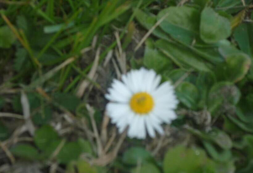 B&b Chambre Chante Cristal