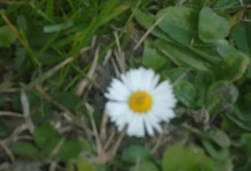 B&b Chambre Chante Cristal