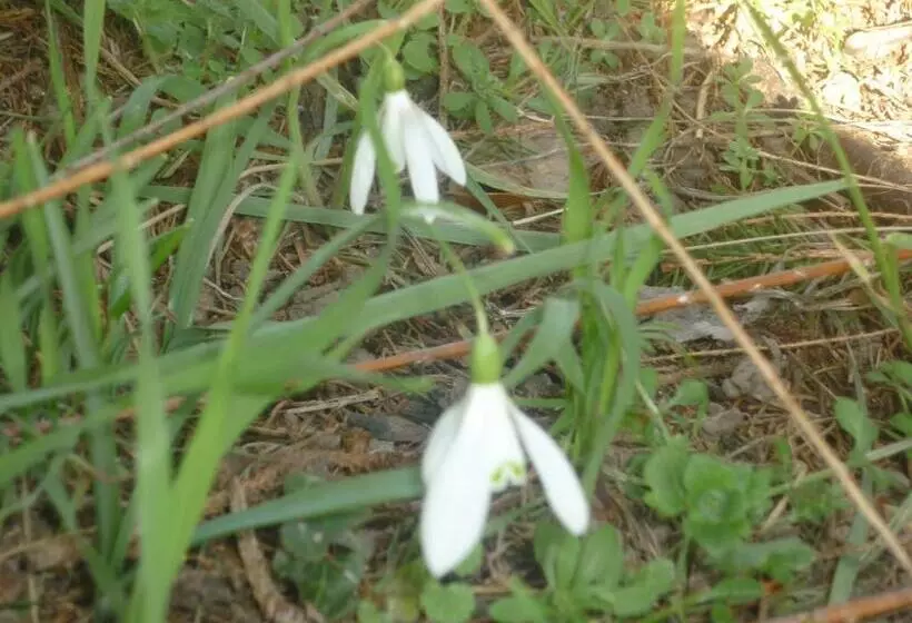 B&b Chambre Chante Cristal