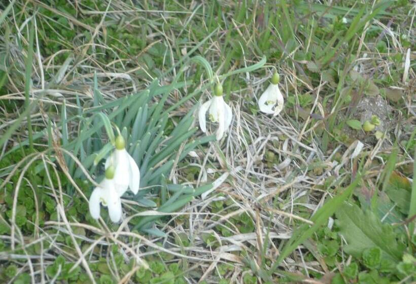 B&b Chambre Chante Cristal