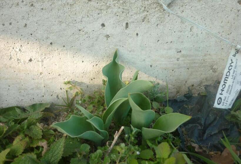 B&b Chambre Chante Cristal