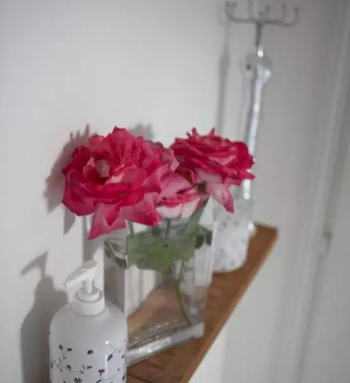 ベッドアンドブレックファースト Le Plein Air