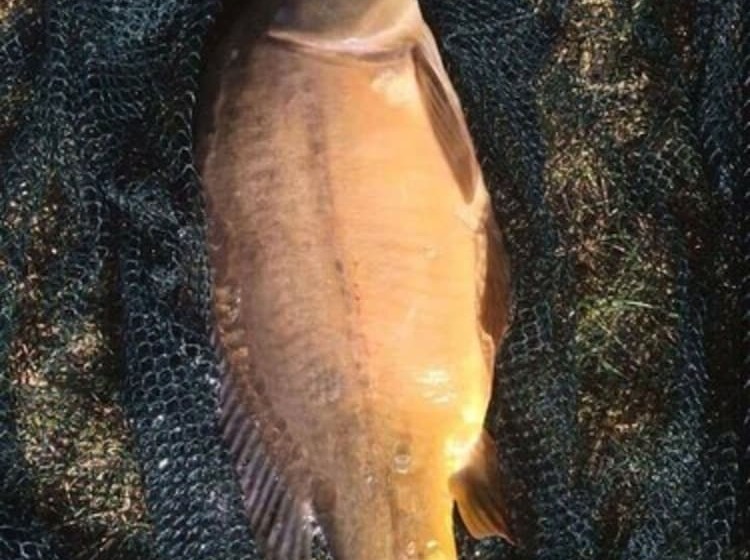 בית מלון כפרי Camping Du Sevron