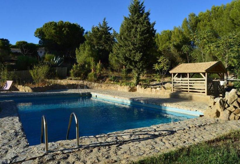 Отель Mirador Las Grullas