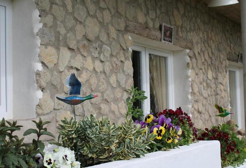 Отель Mirador Las Grullas