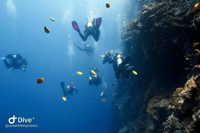 هتل Oceanlife Explorers