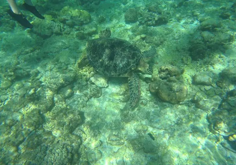 هتل Oceanlife Explorers