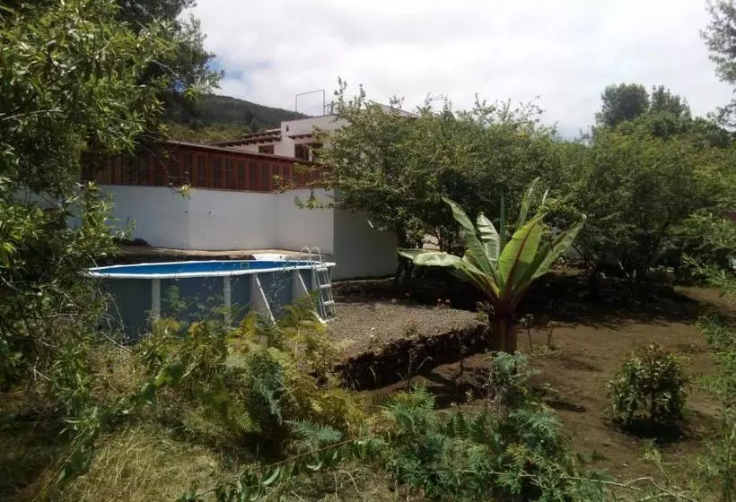 تختخواب و صبحانه Casa Rural Del Teide 2