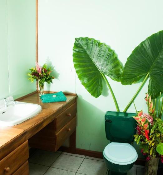 酒店 Cabinas Selvin Y Blanca