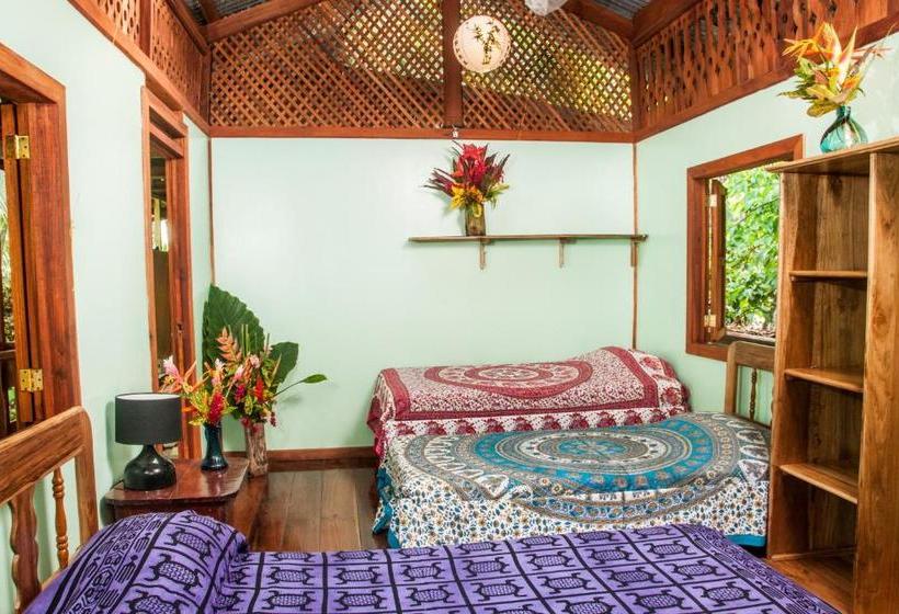 酒店 Cabinas Selvin Y Blanca