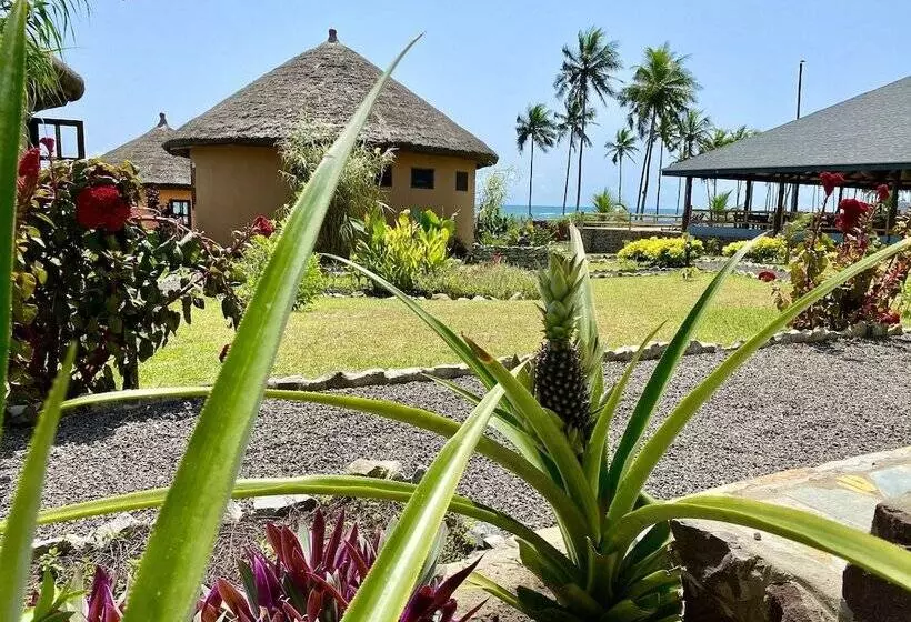ホテル Lemon Beach Resort