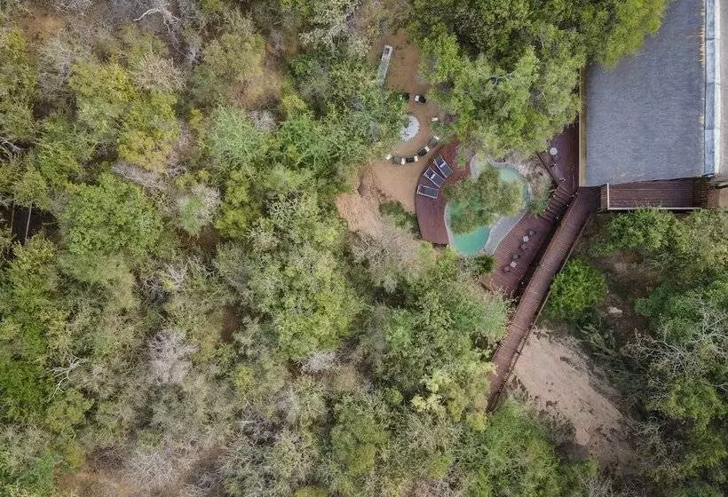 ホテル Panzi Lodge