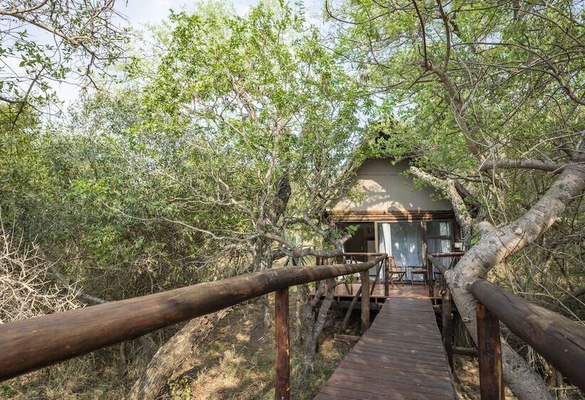 فندق Panzi Lodge