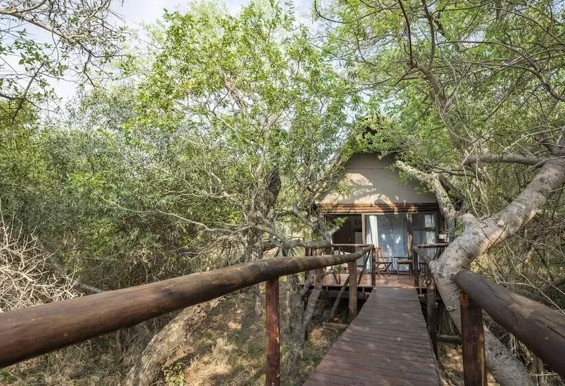 ホテル Panzi Lodge