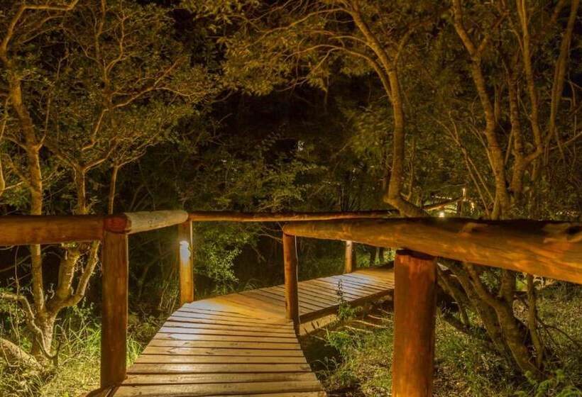 فندق Panzi Lodge