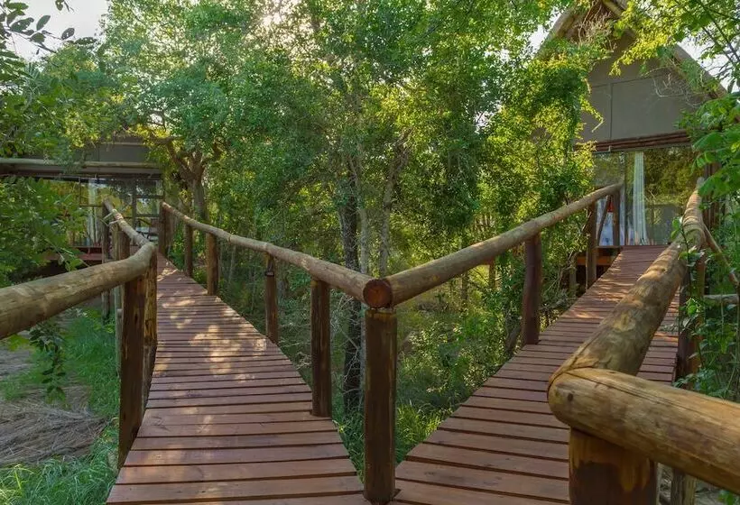 ホテル Panzi Lodge