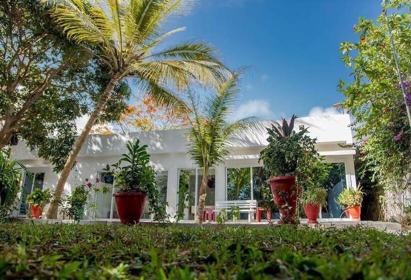 پانسیون Saly International House