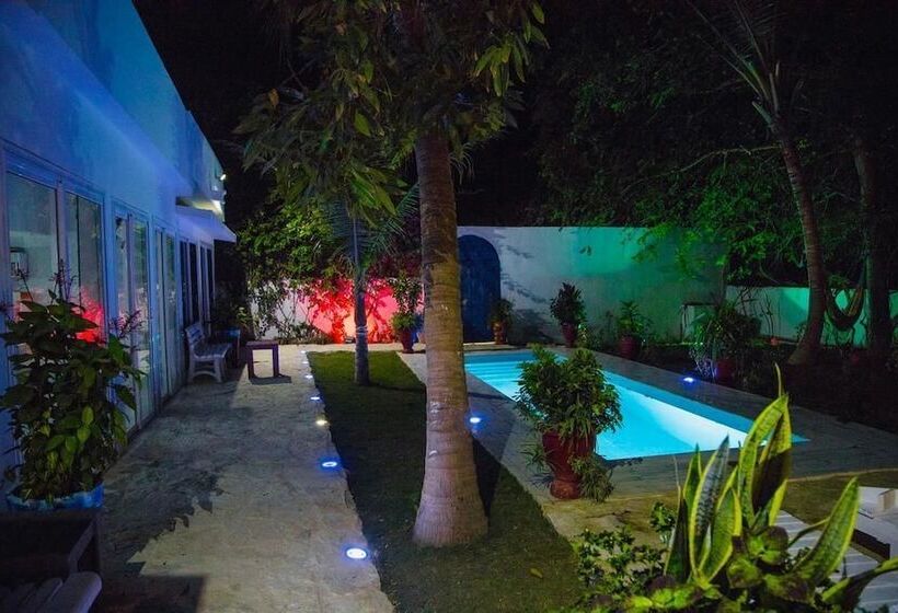 پانسیون Saly International House