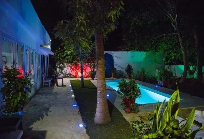 پانسیون Saly International House