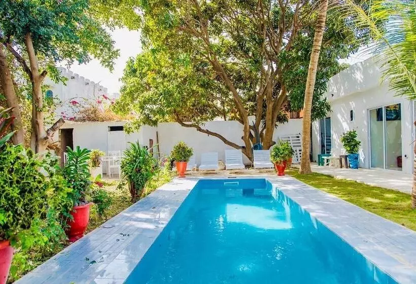 پانسیون Saly International House