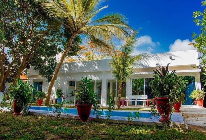 پانسیون Saly International House