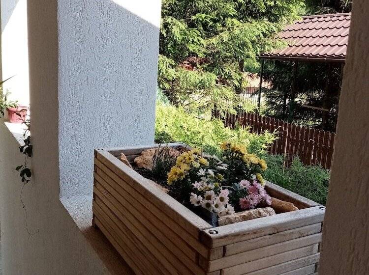 Pensiunea Poiana Cristian