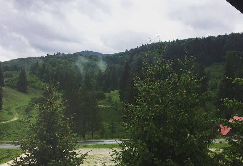 Pensiunea Poiana Cristian