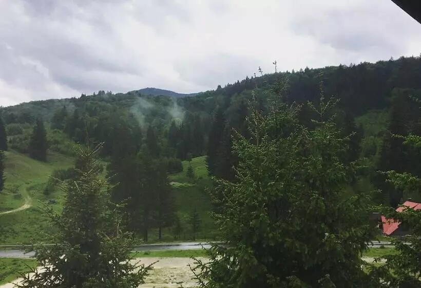 Pensiunea Poiana Cristian