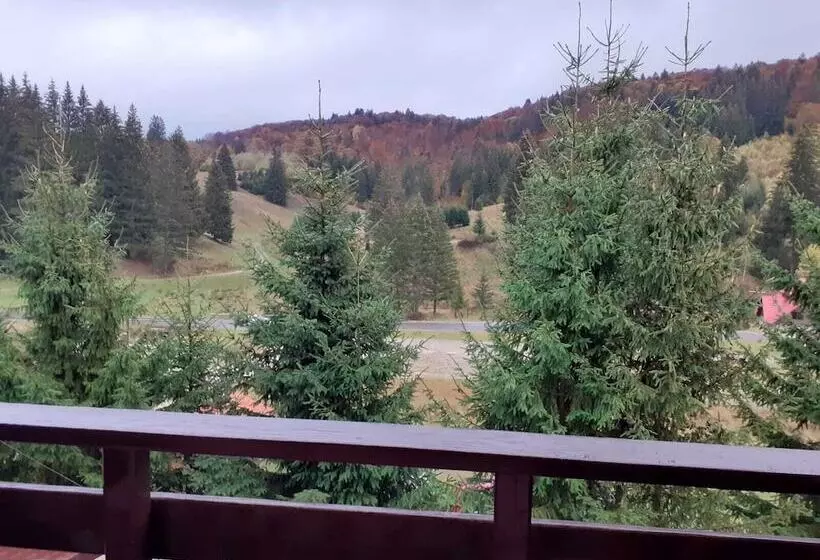 Pensiunea Poiana Cristian