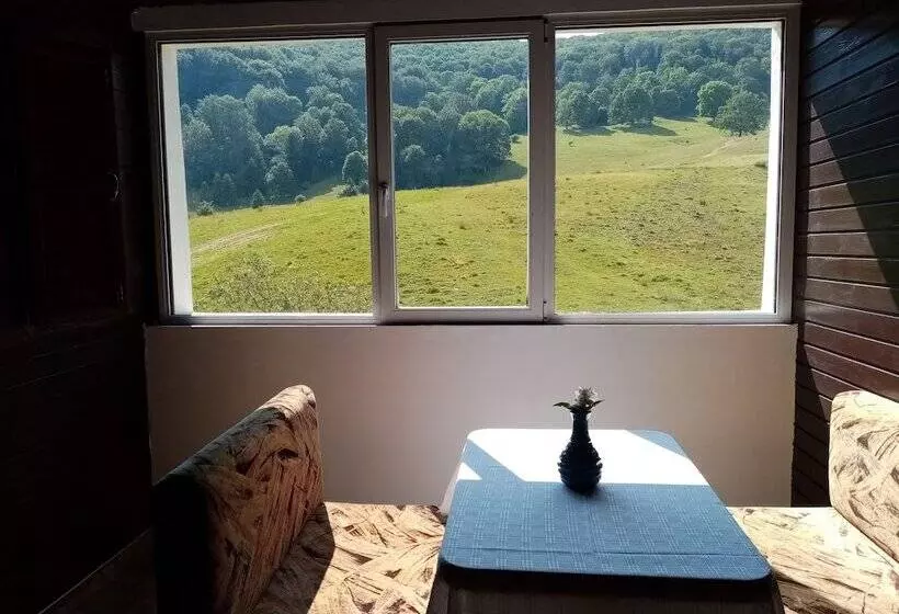 Pensiunea Poiana Cristian