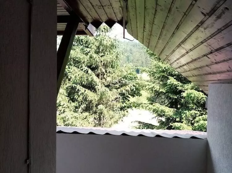 Pensiunea Poiana Cristian