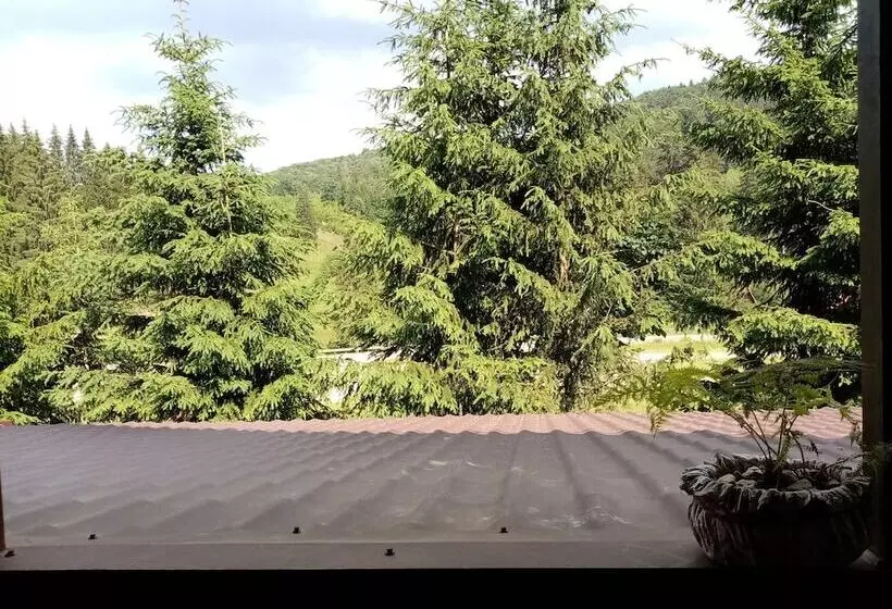 Pensiunea Poiana Cristian