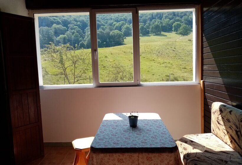 Pensiunea Poiana Cristian