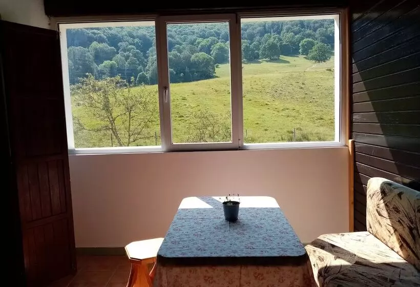 Pensiunea Poiana Cristian