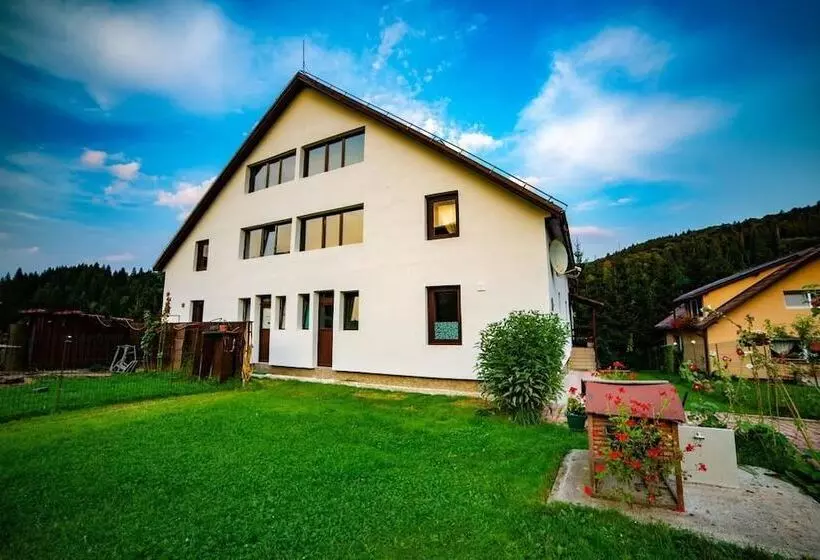 Pensiunea Poiana Cristian