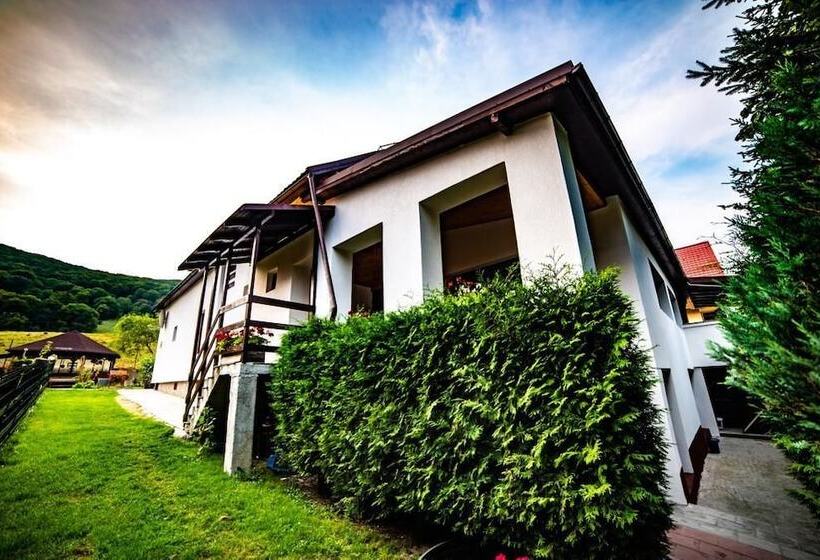 Pensiunea Poiana Cristian