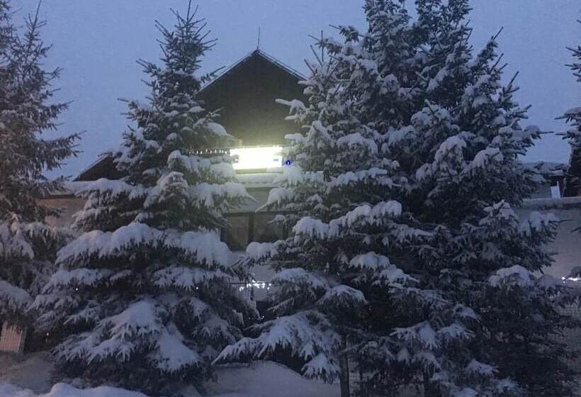 Pensiunea Poiana Cristian