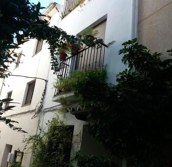 Spacious Comfortable House In Quesada With Balcony