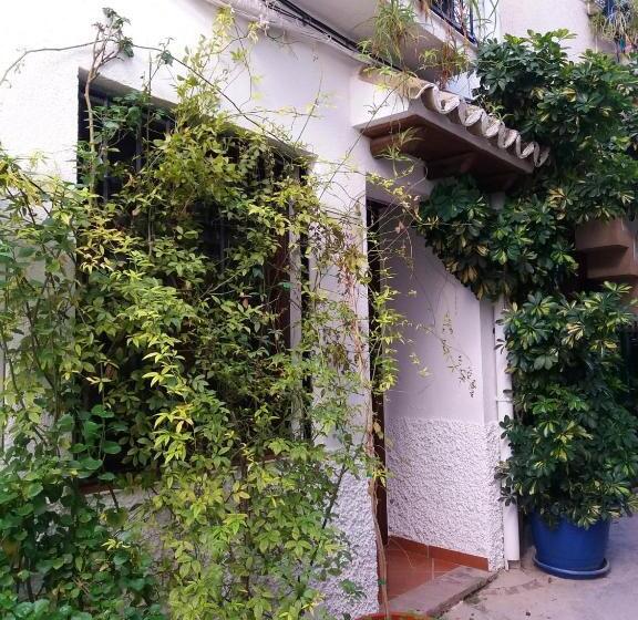 Spacious Comfortable House In Quesada With Balcony