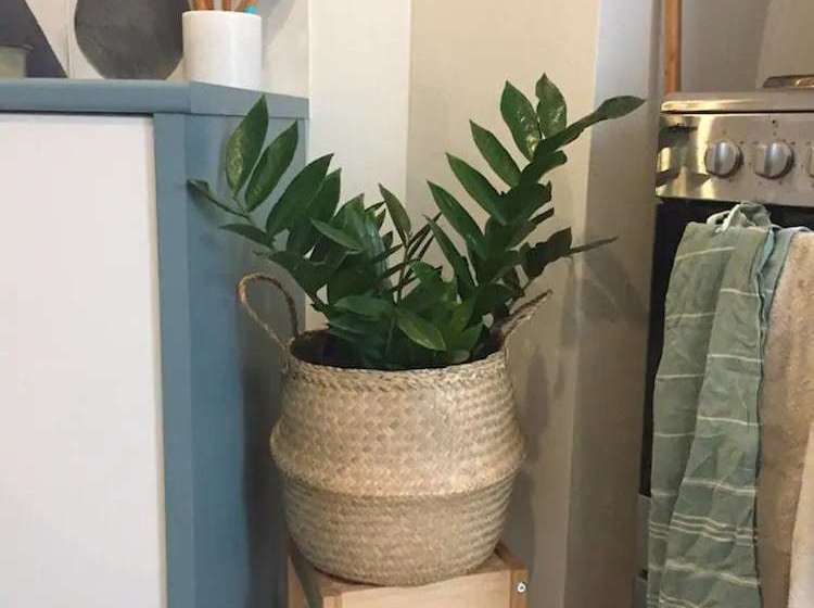 Charming Cottage With Leafy Courtyard