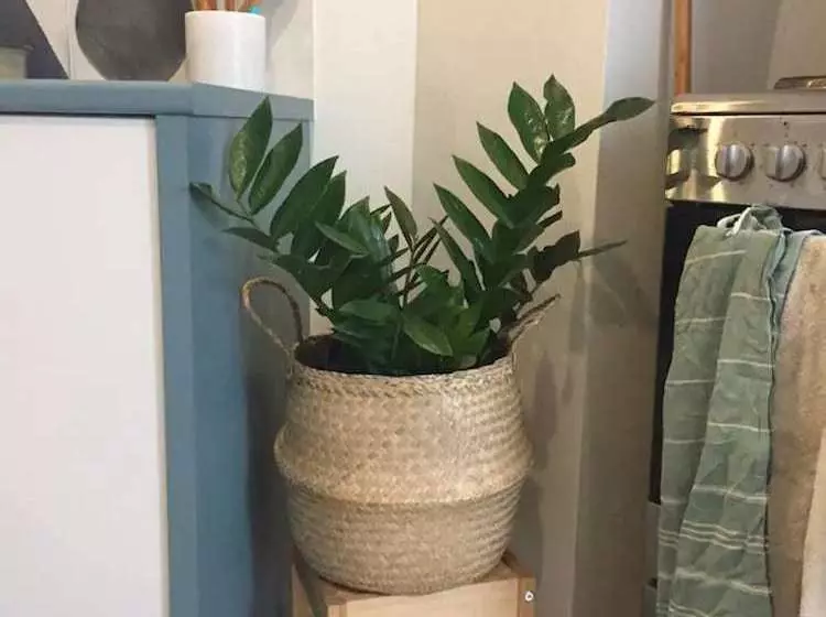 Charming Cottage With Leafy Courtyard