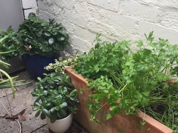 Charming Cottage With Leafy Courtyard