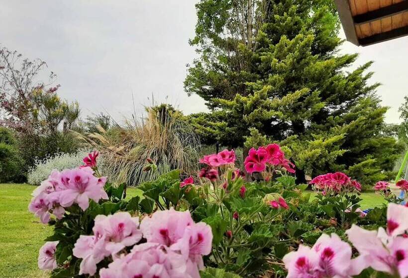 هتل Apart Cabañas Olivos Del Sol