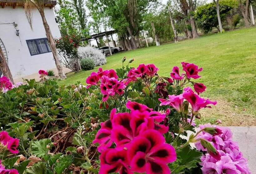 هتل Apart Cabañas Olivos Del Sol