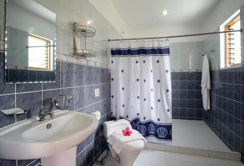 ホテル Kasai Village Dive Resort