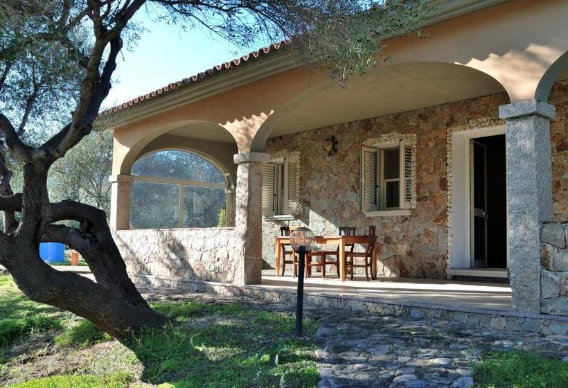 Пансион Schifoni House