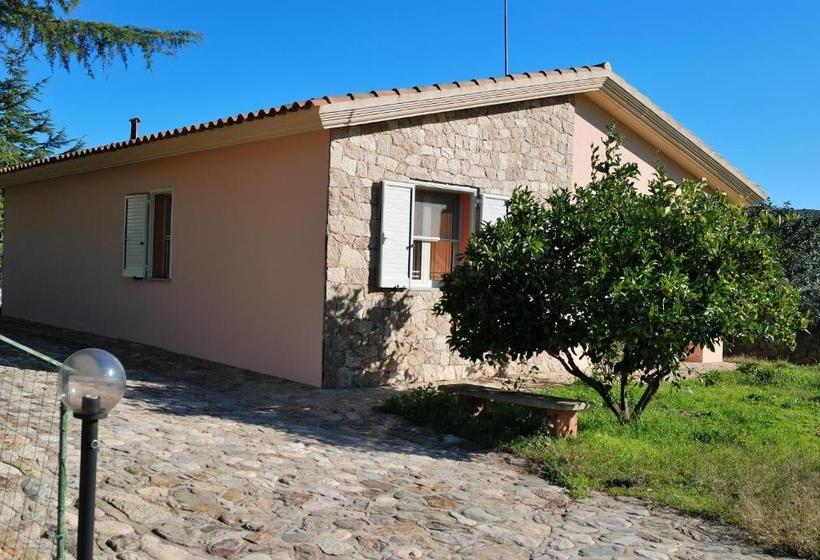 Пансион Schifoni House