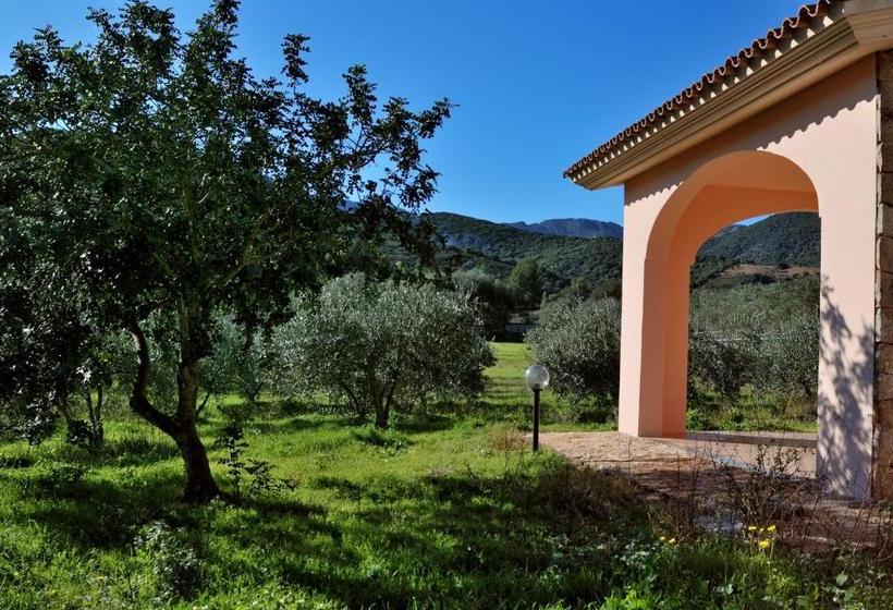 Пансион Schifoni House