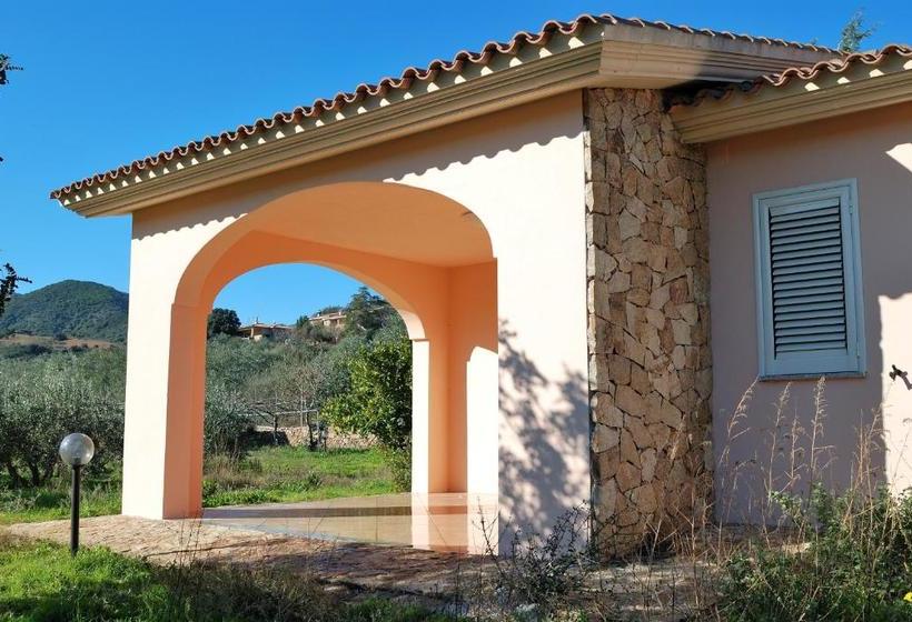 Пансион Schifoni House